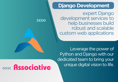 Custom Software Development Package Example: Django Development Service