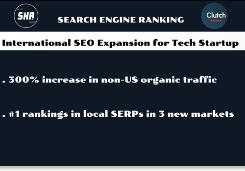 Search Engine Optimization Package Example: International SEO Expansion for Tech Startup