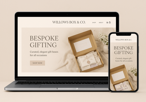Advertising Package Example: Custom E-Commerce Platform for Willowsbox