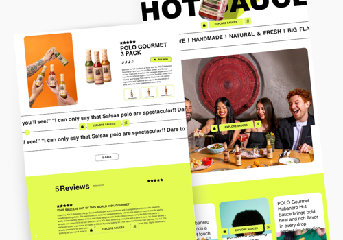 Web Design Package Example: eCommerce Web Design for Hot Sauce Brand