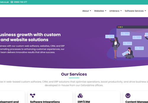Web Development Package Example: Virtual Net - Website Creation