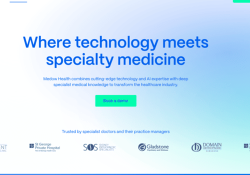 Custom Software Development Package Example: Healthcare Co-pilot Speech-to-text