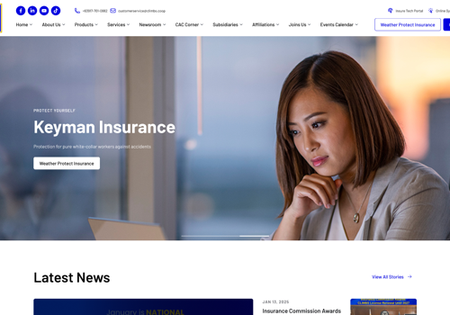 Web Design Package Example: CLIMBS Website Development
