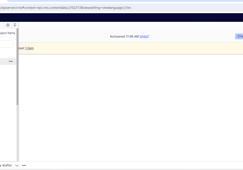Web Development Package Example: Optimizely backend developer