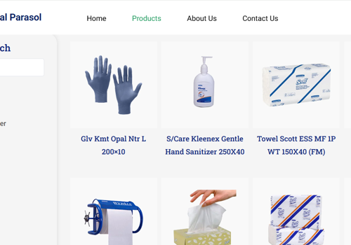 Web Development Package Example: Digital Showroom & B2B Portal