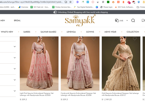 Web Development Package Example: Website Design & Digital Marketing of SamYakk