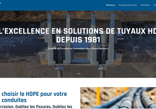 Web Design Package Example: WordPress Website Development & Duplicate Site