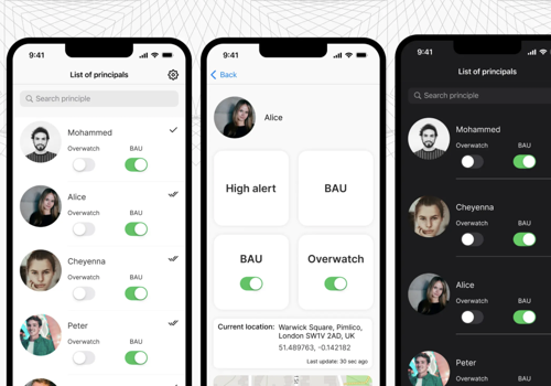 Custom Software Development Package Example: Develop an application for security and clients