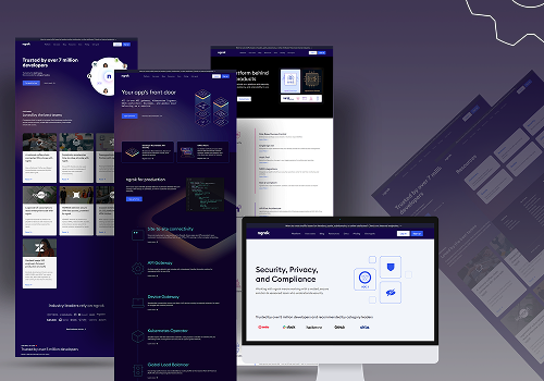 IT Strategy Consulting Package Example: NGROK: SPA Web App with Headless CMS