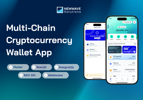 Custom Software Development Package Example: The Single Wallet Solution for Multi-Chain Crypto