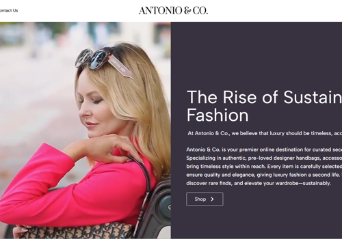 Web Development Package Example: Antonio & Co. Website Development