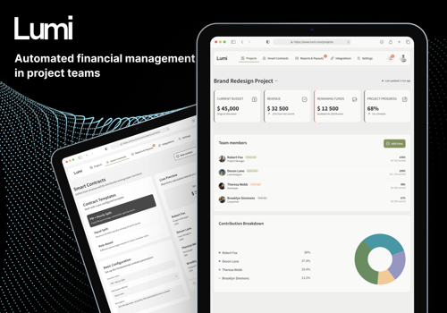Custom Software Development Package Example: Lumi