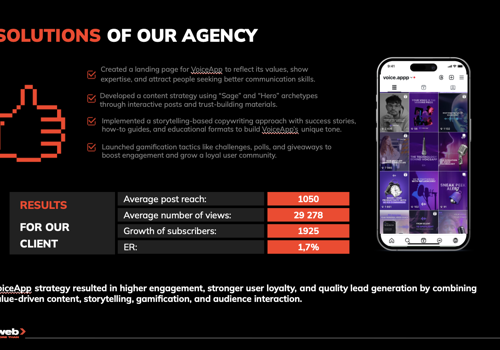 Advertising Package Example: Elit-Web Transformed Digital Presence for VoiceApp