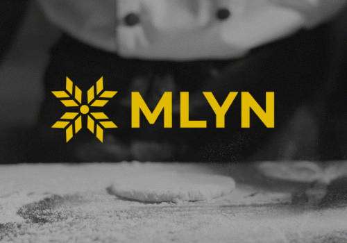 Branding Package Example: MLYN | Branding