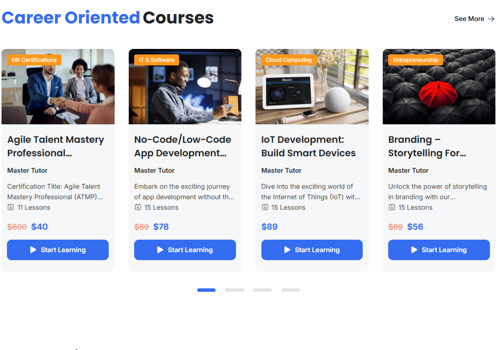 Web Design Package Example: E learning Academy