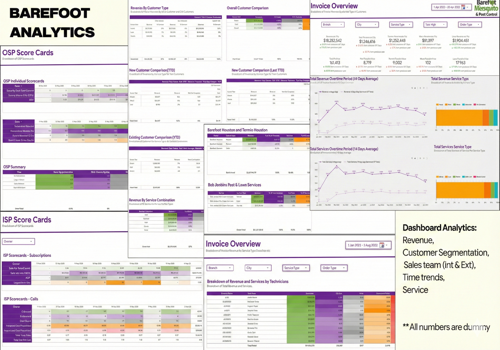 BI & Big Data Consulting & SI Package Example: AI Automations & Dashboarding