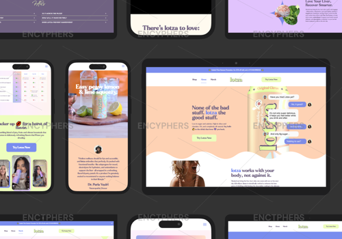 Web Design Package Example: GETLOTZA