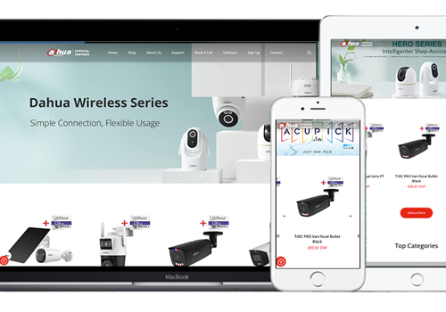 Web Development Package Example: Dahua CH