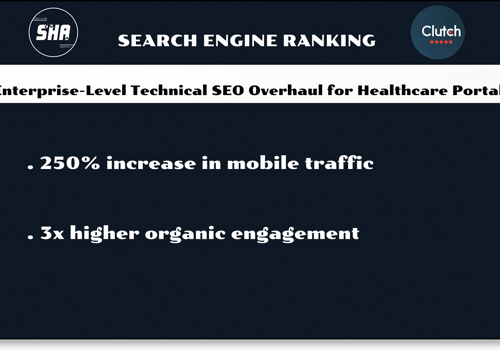 Search Engine Optimization Package Example: Technical SEO Overhaul for Healthcare Portal