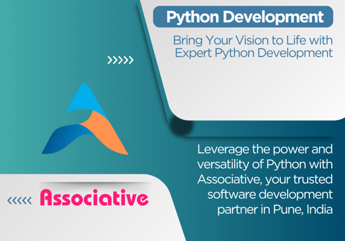 Custom Software Development Package Example: Python Development Service
