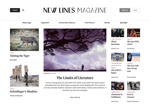 Web Design Package Example: Custom WordPress Development for a News Publisher