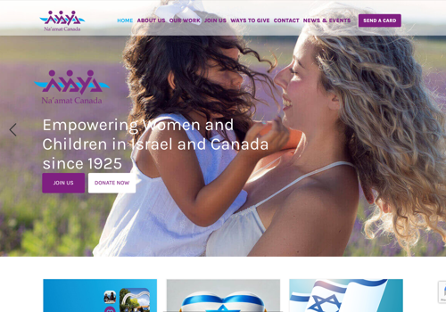 Web Design Package Example: National Nonprofit Website