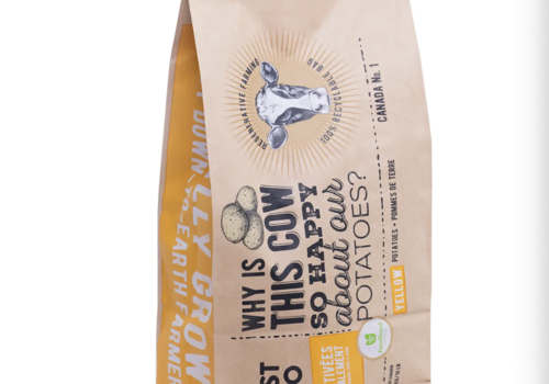 Branding Package Example: The Honest Potato Co. - Brand Creation