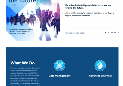 Web Development Package Example: XLytica Website