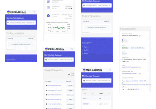 Blockchain Package Example: Future Smart Chain ecosystem