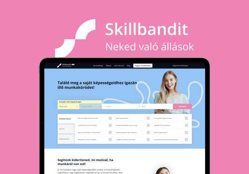 Custom Software Development Package Example: Job Search Platform Development: SkillBandit