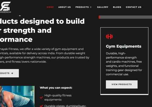 Web Development Package Example: Website Development - Siddhivinayak Fitness