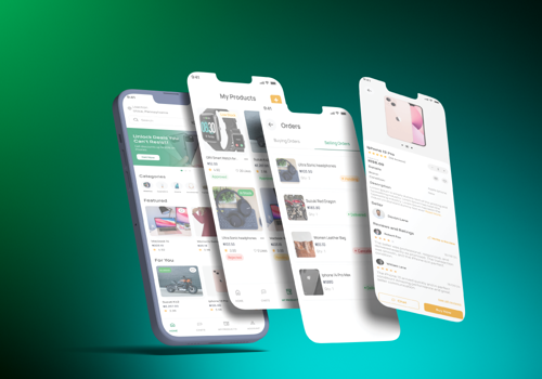 Custom Software Development Package Example: Naija Living