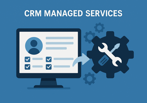 CRM Consulting and SI Package Example: CRM Application Management & Configuration