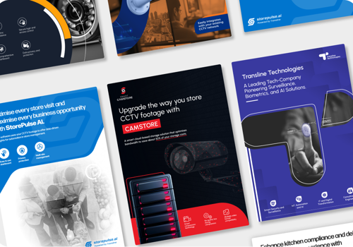 Graphic Design Package Example: Sales Brochures for an IT company