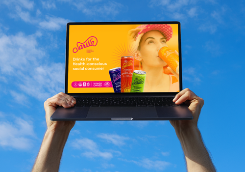 Graphic Design Package Example: Investor Pitch Deck Design for Sarilla