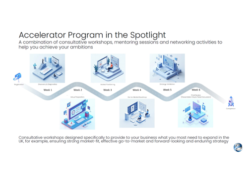 Business Consulting Package Example: Expansion of Global Business in the UK