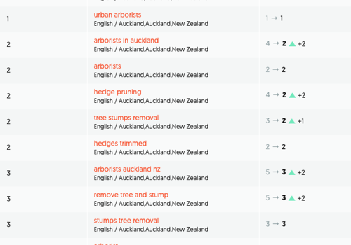Search Engine Optimization Package Example: Persistence pays off with high competition