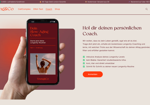 Web Development Package Example: E-commerce Website in Shopify