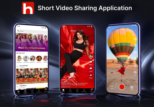 Custom Software Development Package Example: Hipi