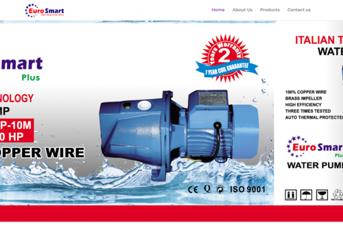 Web Design Package Example: Euro Smart - Web Design & Development