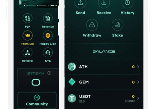 Blockchain Package Example: A Decentralized Platform