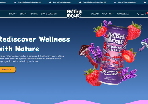 Web Design Package Example: Shopify Custom theme