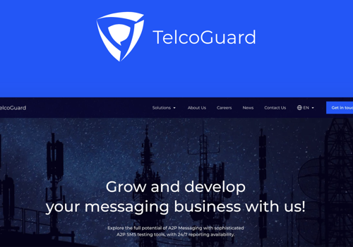 Web Design Package Example: Telco Guard website development