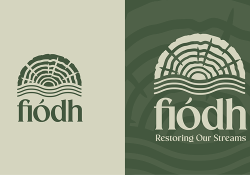 Branding Package Example: Environmental Consultancy Brand Identity