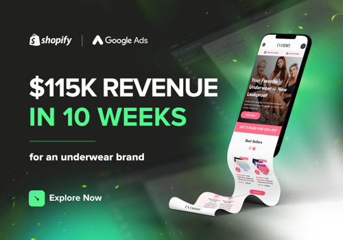 Ecommerce Marketing Package Example: $115K Revenue in 10 Weeks for Dropshipping Store