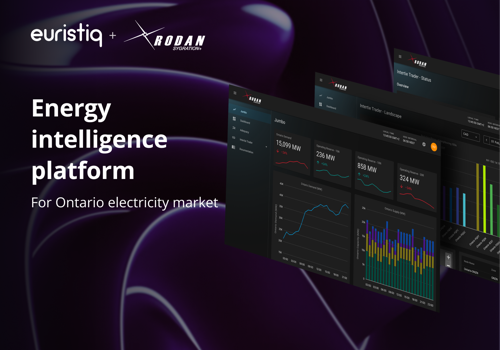 Enterprise App Modernization Package Example: Rodan Energy Solutions