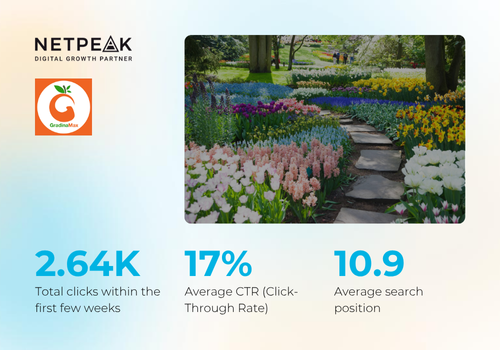 Search Engine Optimization Package Example: GradinaMax: 2.6K Clicks in New EU Markets