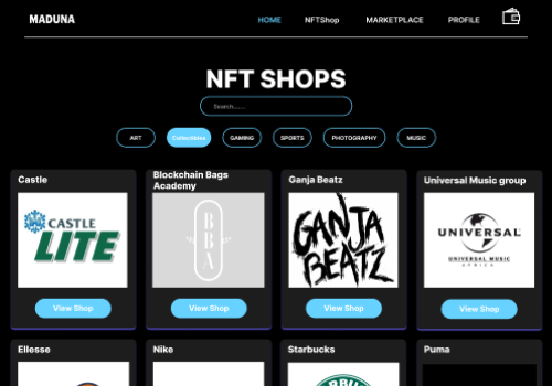 Web Design Package Example: Maduna labs