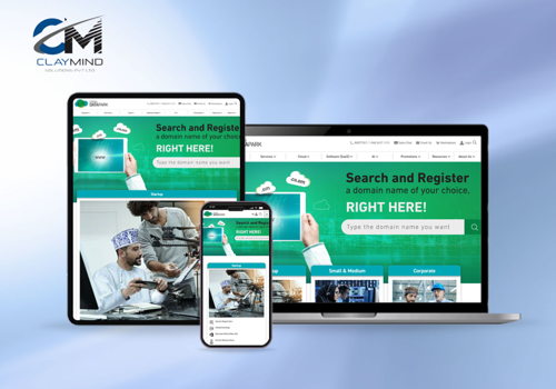 Web Development Package Example: Biggest Hosting Company in Oman