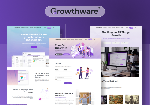 Custom Software Development Package Example: Growthware HeadLess CMS Website